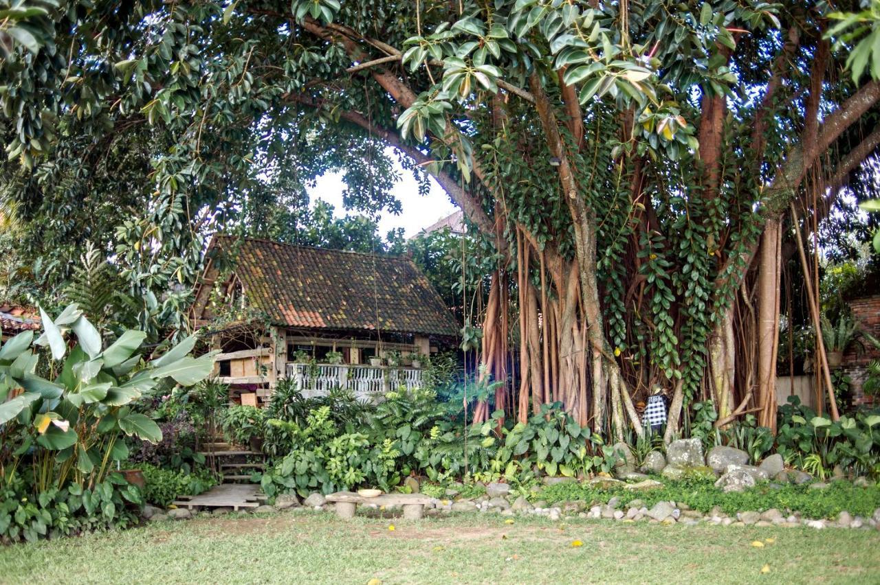 Omah Apik Hotel Ubud Kültér fotó